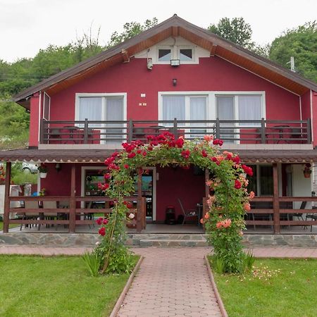 Villa Frans Si Cabanute Ieşelniţa المظهر الخارجي الصورة